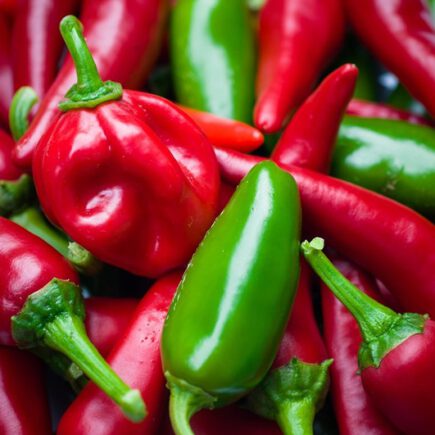 Variedad de chiles mexicanos